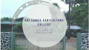  Diploma in Agriculture 