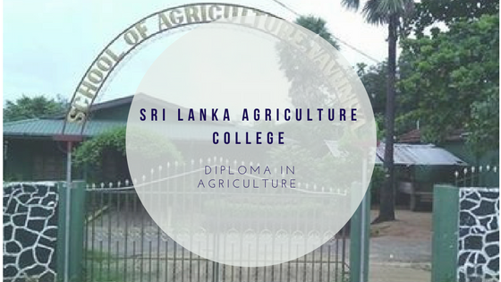 Diploma in Agriculture