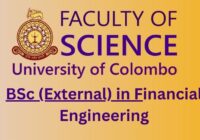Financial Engineering