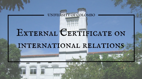 International relations courses